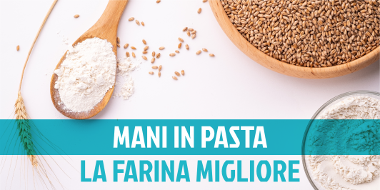 Tipi di farina: qual è la migliore?