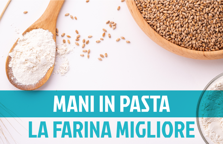 Tipi di farina: qual è la migliore?