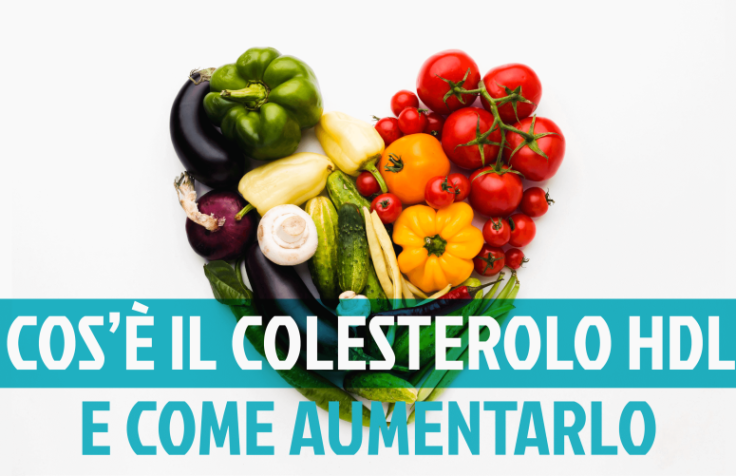 Colesterolo HDL: cosa è e come aumentarlo | Fit And Go